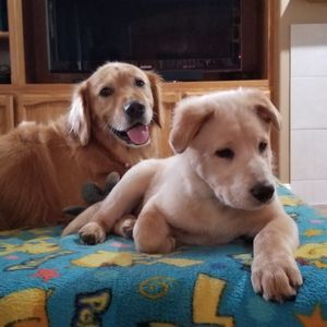 Meet your Posher, Barbara